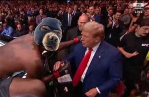 imgi_39_vEE4rha4LcJltessDFuuJbmupQY